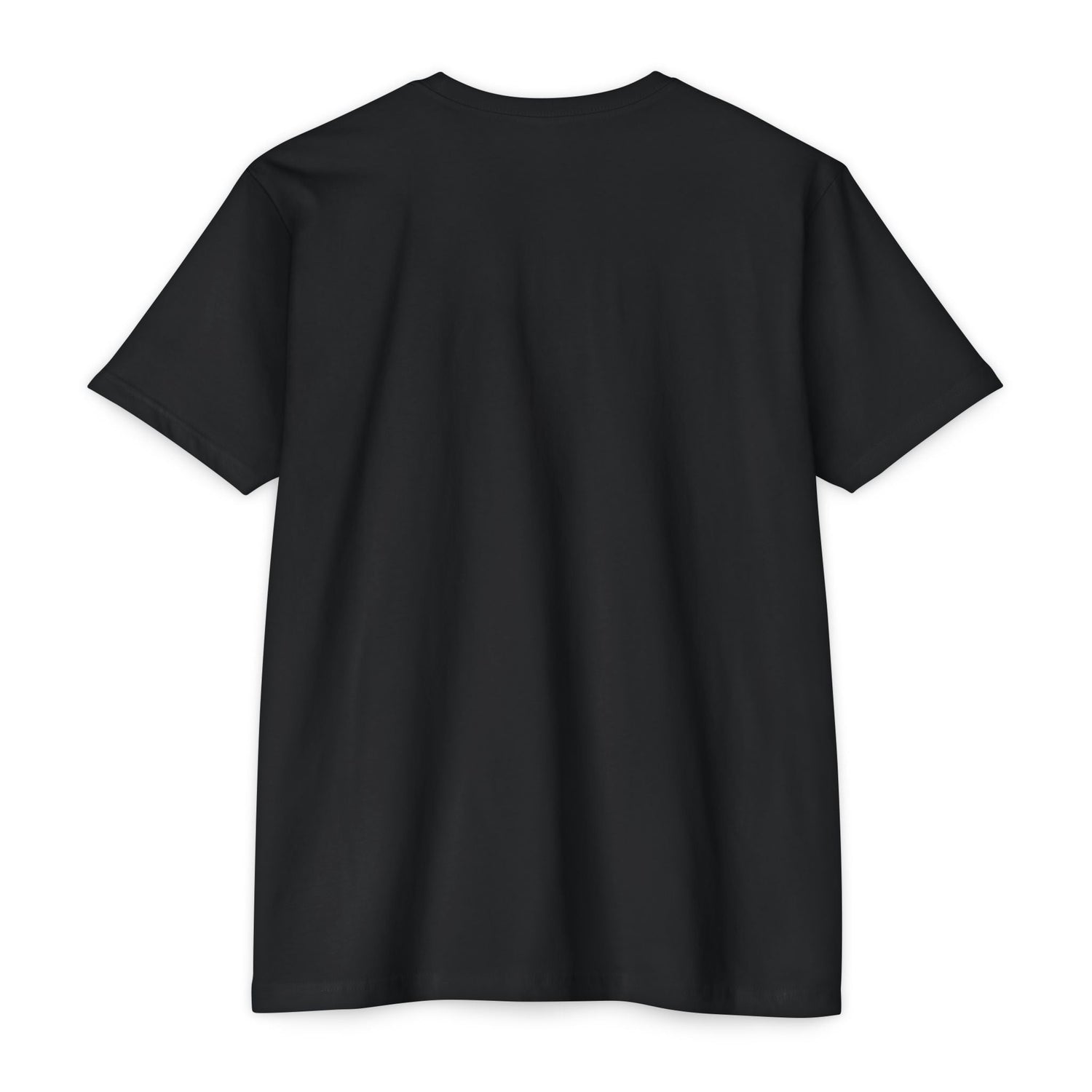 Classic Basic T-Shirts